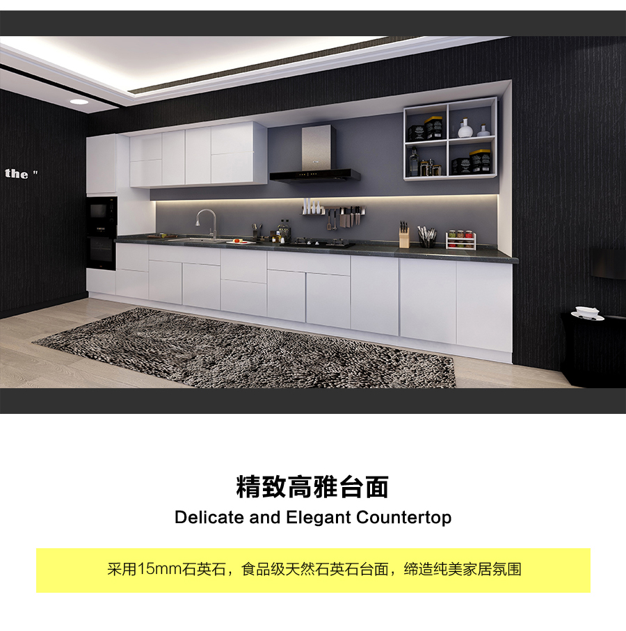 星空梵高定制櫥柜 現(xiàn)代簡(jiǎn)約整體定制櫥柜 石英石臺(tái)面定制櫥柜 雙飾面-顆粒烤漆010定制櫥柜